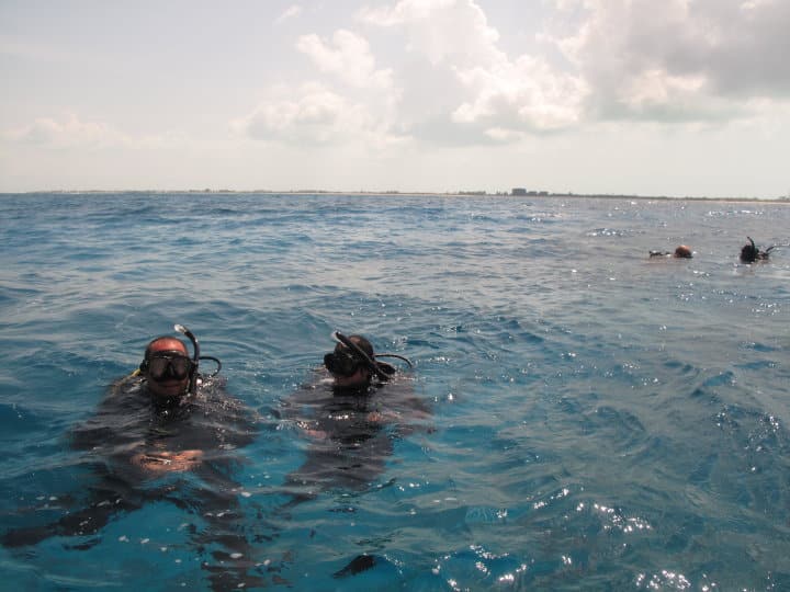Scuba diving San Diego with certified guide - Dive In Scuba (2)