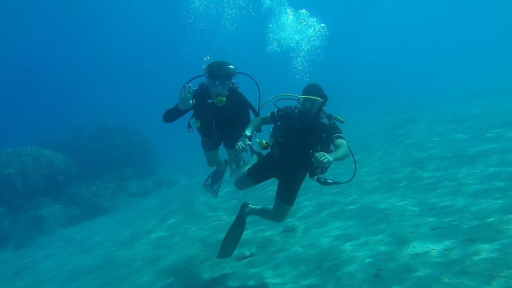 discover essential scuba tips to enhance your underwater experience! from safety guidelines to gear recommendations, dive into our expert advice and make the most of your adventures beneath the waves.
